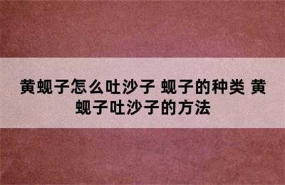 黄蚬子怎么吐沙子 蚬子的种类 黄蚬子吐沙子的方法